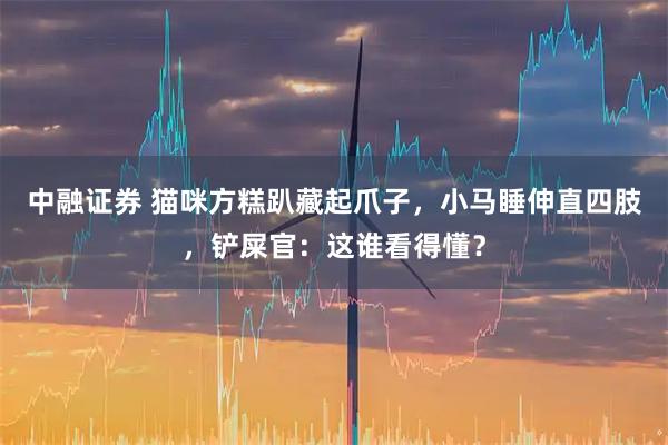 中融证券 猫咪方糕趴藏起爪子，小马睡伸直四肢，铲屎官：这谁看得懂？