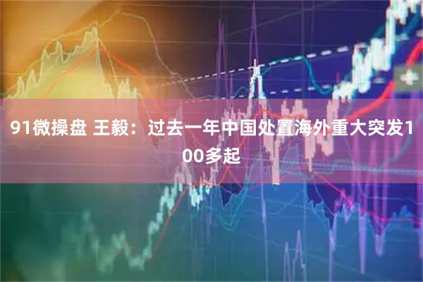 91微操盘 王毅：过去一年中国处置海外重大突发100多起